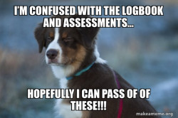 Unsure Dog