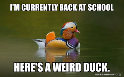 Fashionable Advice Mallard