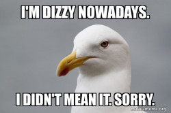 Stuff That Didn't Happen Seagull