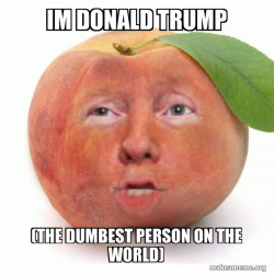 Impeached Donald Trump