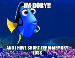 Dory from Nemo  (5 second memory)