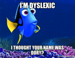 Dory from Nemo  (5 second memory)