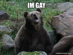 Sarcastic Bear