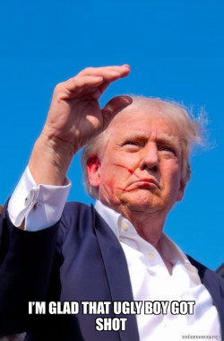 Trump Shot