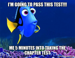 Dory from Nemo  (5 second memory)