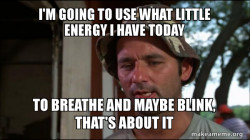 Bill Murry Caddyshack (So I got that going for me)
