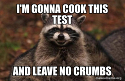 Evil Plotting Raccoon