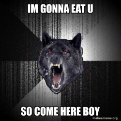 Insanity Wolf