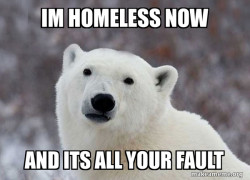 Popular Opinion Polar Bear