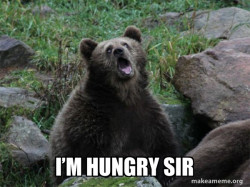 Sarcastic Bear