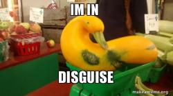 Gourd Advice Mallard