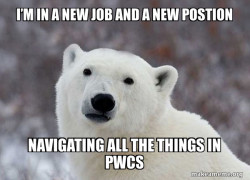 Popular Opinion Polar Bear