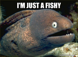 Bad Joke Eel