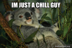 Laid Back Koala