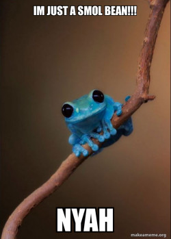 Small Fact Frog