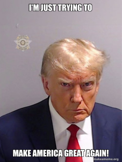 Donald Trump Mugshot