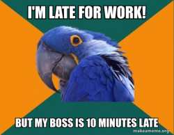 Paranoid Parrot