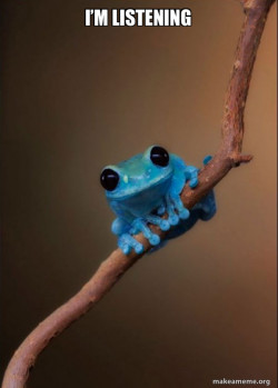 Small Fact Frog