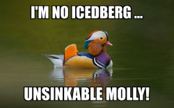 BIRD ROCK = ICEDBERG