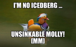 BIRD ROCK = ICEDBERG