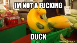 Gourd Advice Mallard