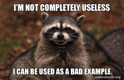 Evil Plotting Raccoon