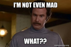 Ron Burgundy I am not even mad or That's amazing (Anchorman)