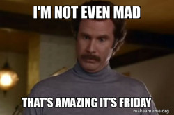 Ron Burgundy I am not even mad or That's amazing (Anchorman)
