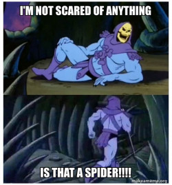 Skeletor Facts