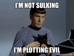 Spock and Cat Meme