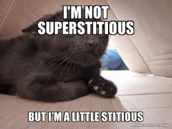 Schitzo Cat