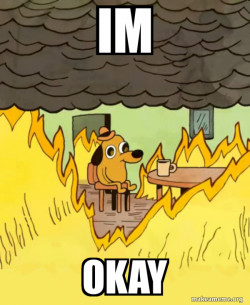 This Is Fine