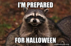 Evil Plotting Raccoon
