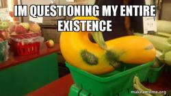 Gourd Advice Mallard