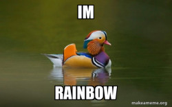 Fashionable Advice Mallard