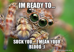 Hipster Spider
