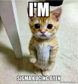 Cute Cat Standing