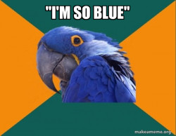 Paranoid Parrot