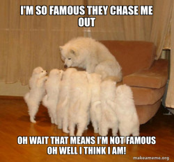 Storytelling Dog