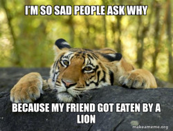 Confession Tiger