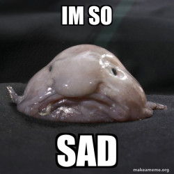 Blobfish