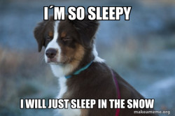 sleepy