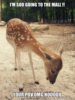 O M G Deer