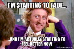 Condescending Wonka
