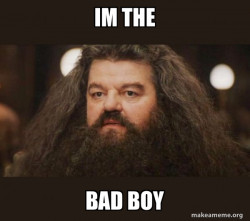 Hagrid - I should not have said that