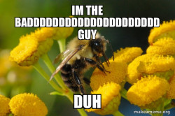 Good Guy Bee