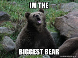 Sarcastic Bear