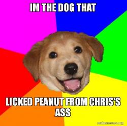Advice Dog