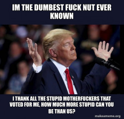 Trump Impeached