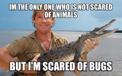 Steve irwin
